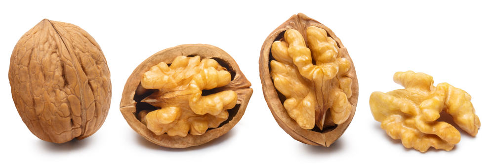 walnuts in their shell and out of their shell