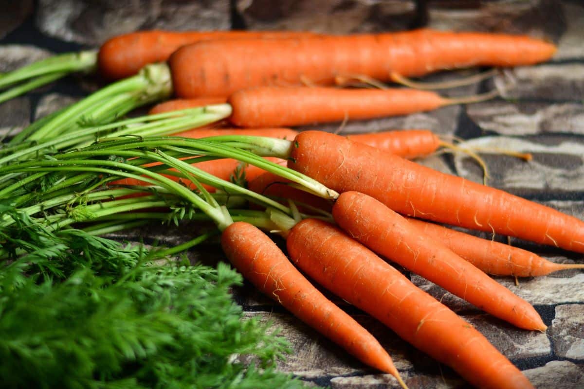fresh-carrots-for-beet-it-juice