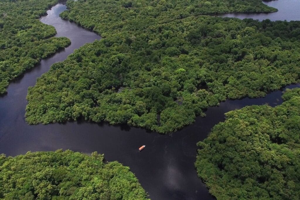 amazon-rain-forest