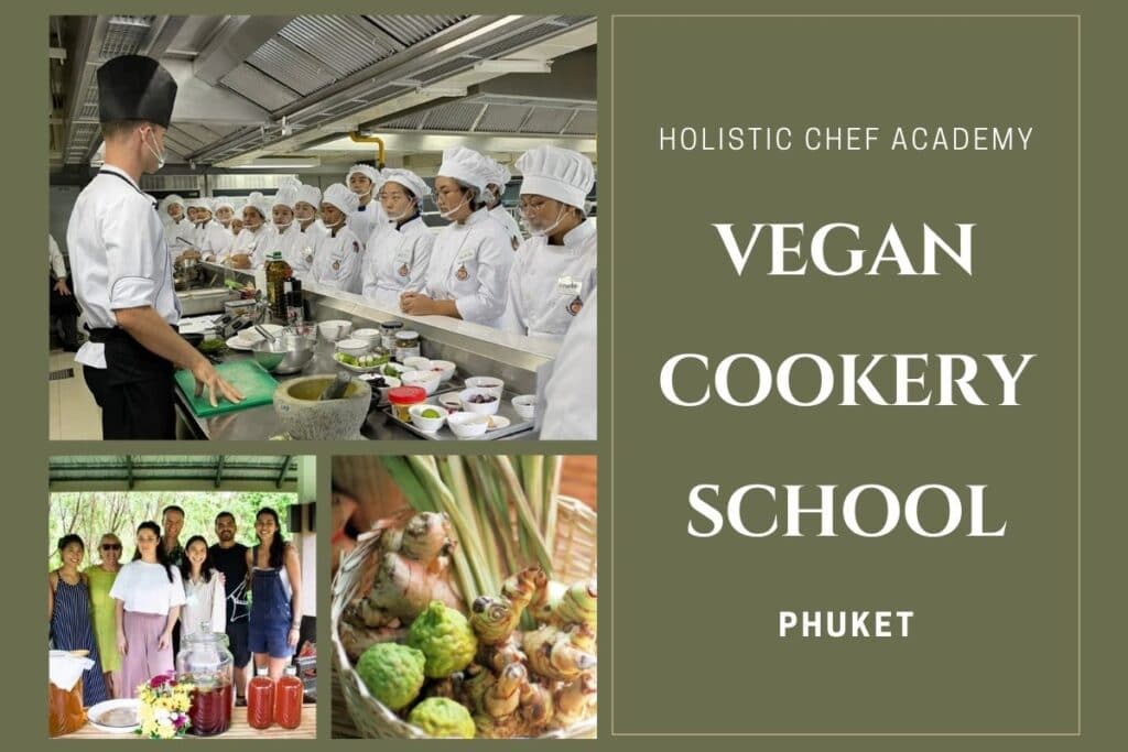 holistic-chef-academy-design