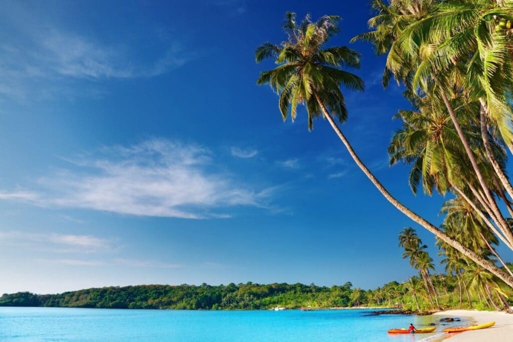 Phuket-beach-and-coconut-tree