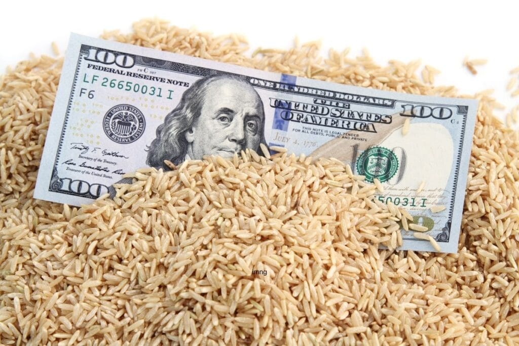 food-costing-100-dollar-in-rice