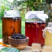 wild-kombucha-tea-fermenting-in-glass-jars
