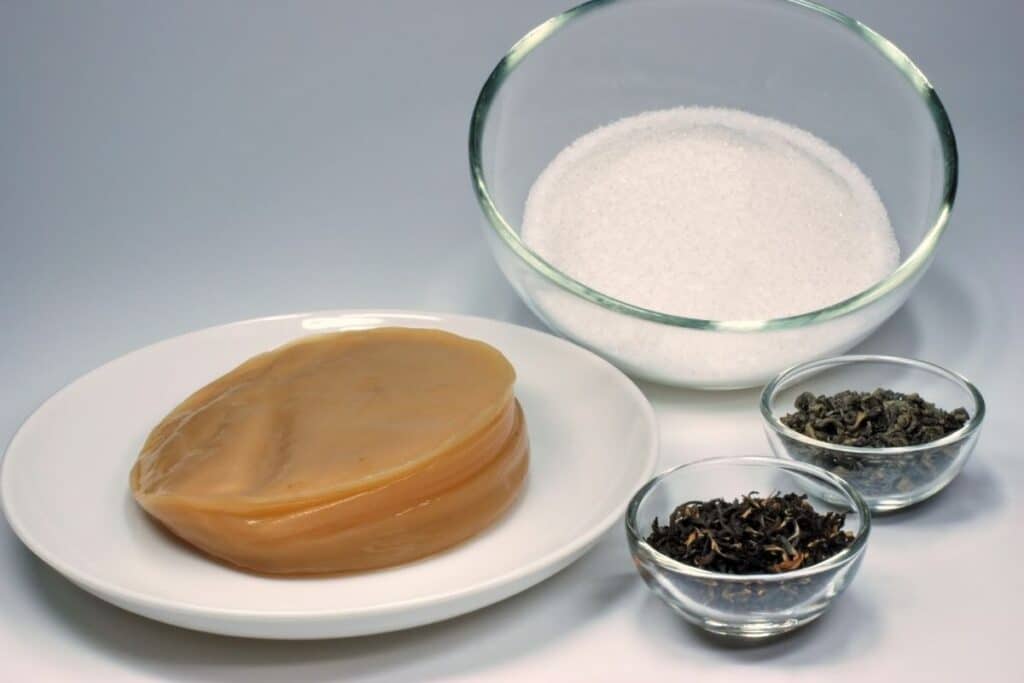kombucha-ingredients-scoby-tea-sugar