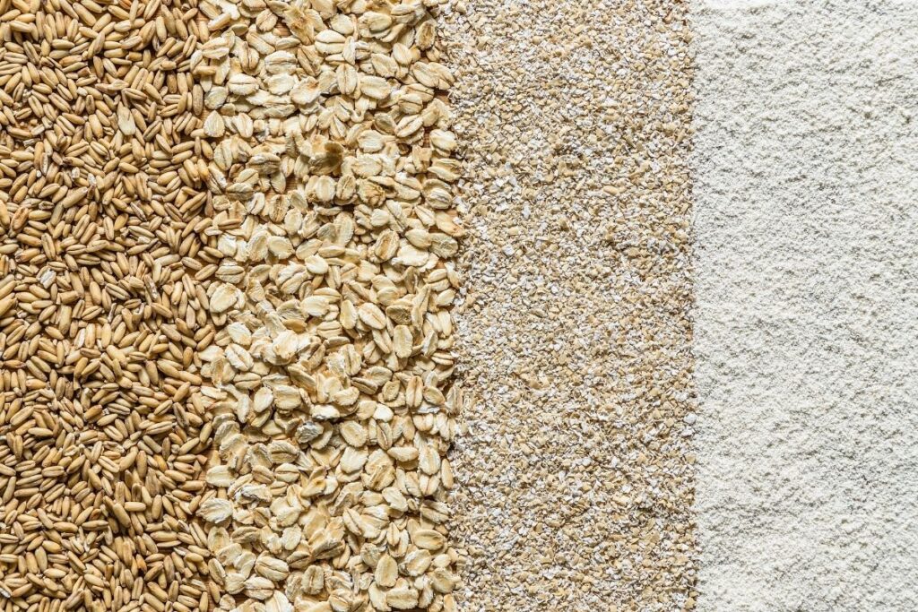 selection-of-oats-in-their-different-forms