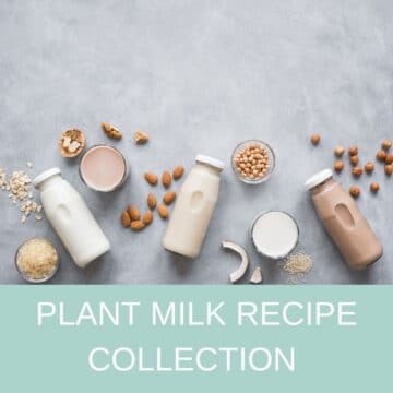 plant-milk-recipe-collection-cover