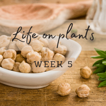 life-on-plants-week-5