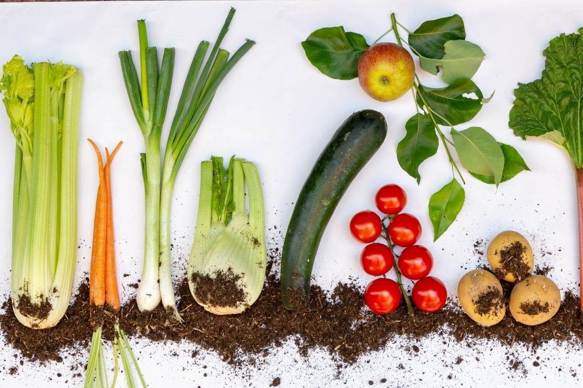 local-seasonal-food