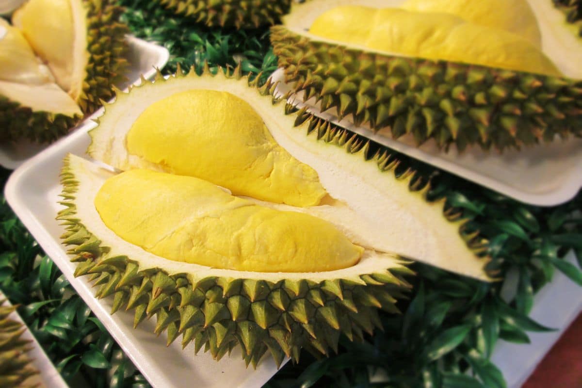 durian-fruit