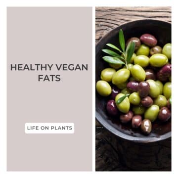 healthy-vegan-fats-feature-image