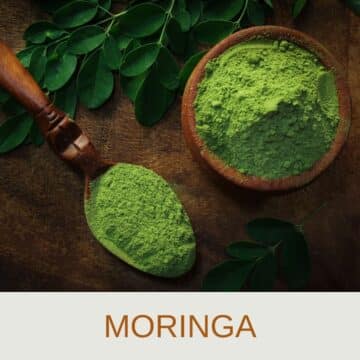 dried-moringa-powder