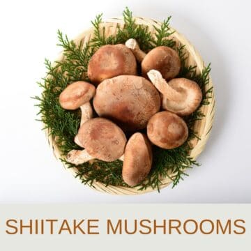 shiitake-mushroom-display