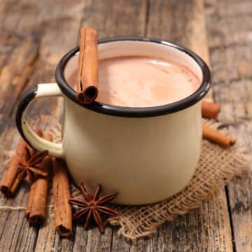 cinnamon-hot-chocolate-served-in-a-mug