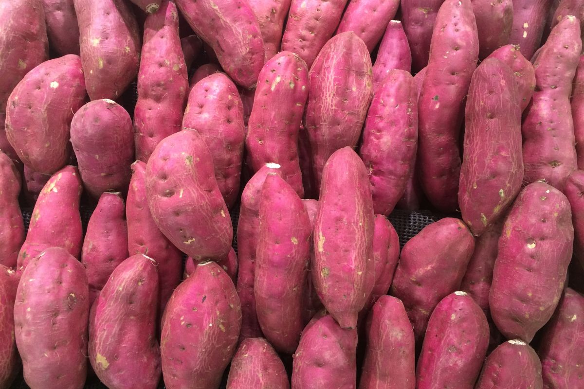 fresh-sweet-potatoes