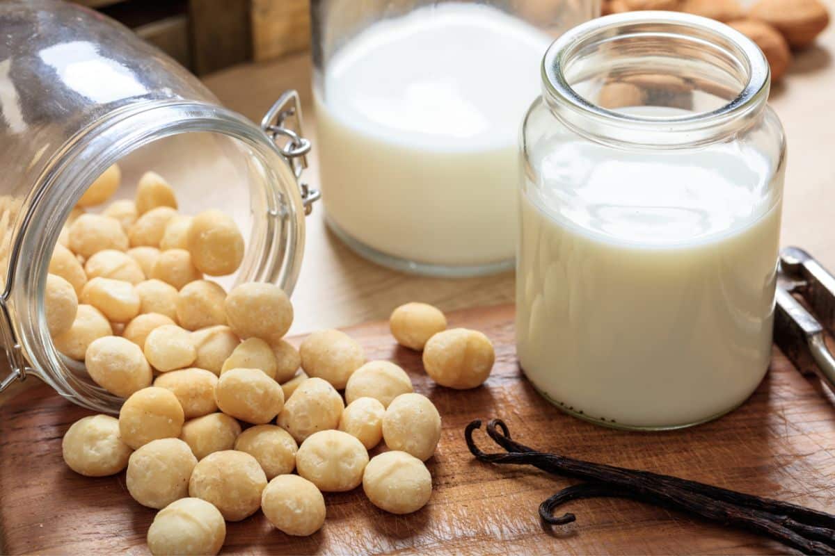 macadamia-nut-milk