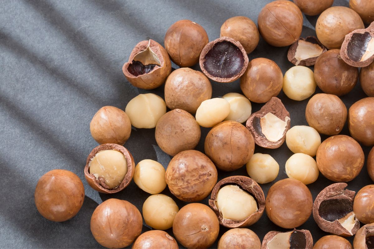 fresh-macadamia-nuts