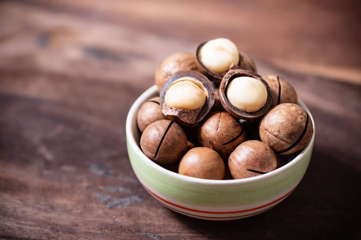 fresh-macadamias