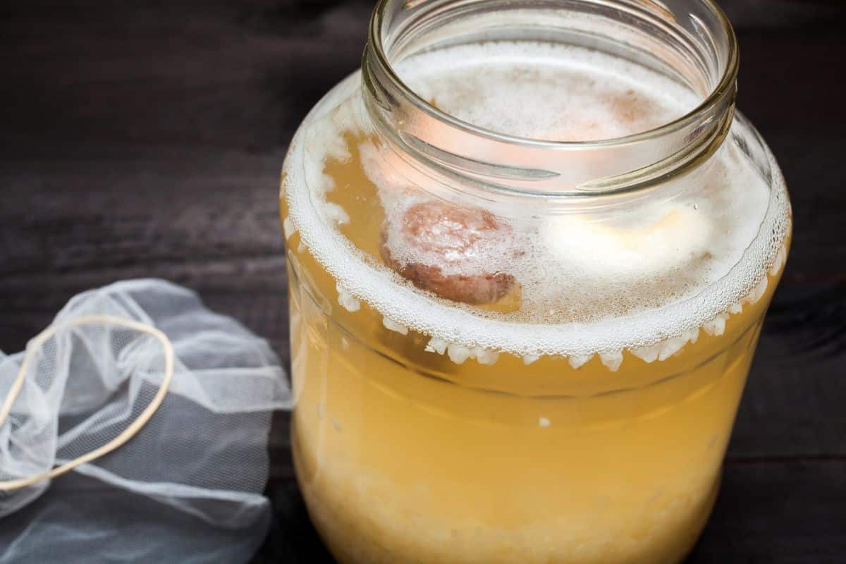 water-kefir-fermenting