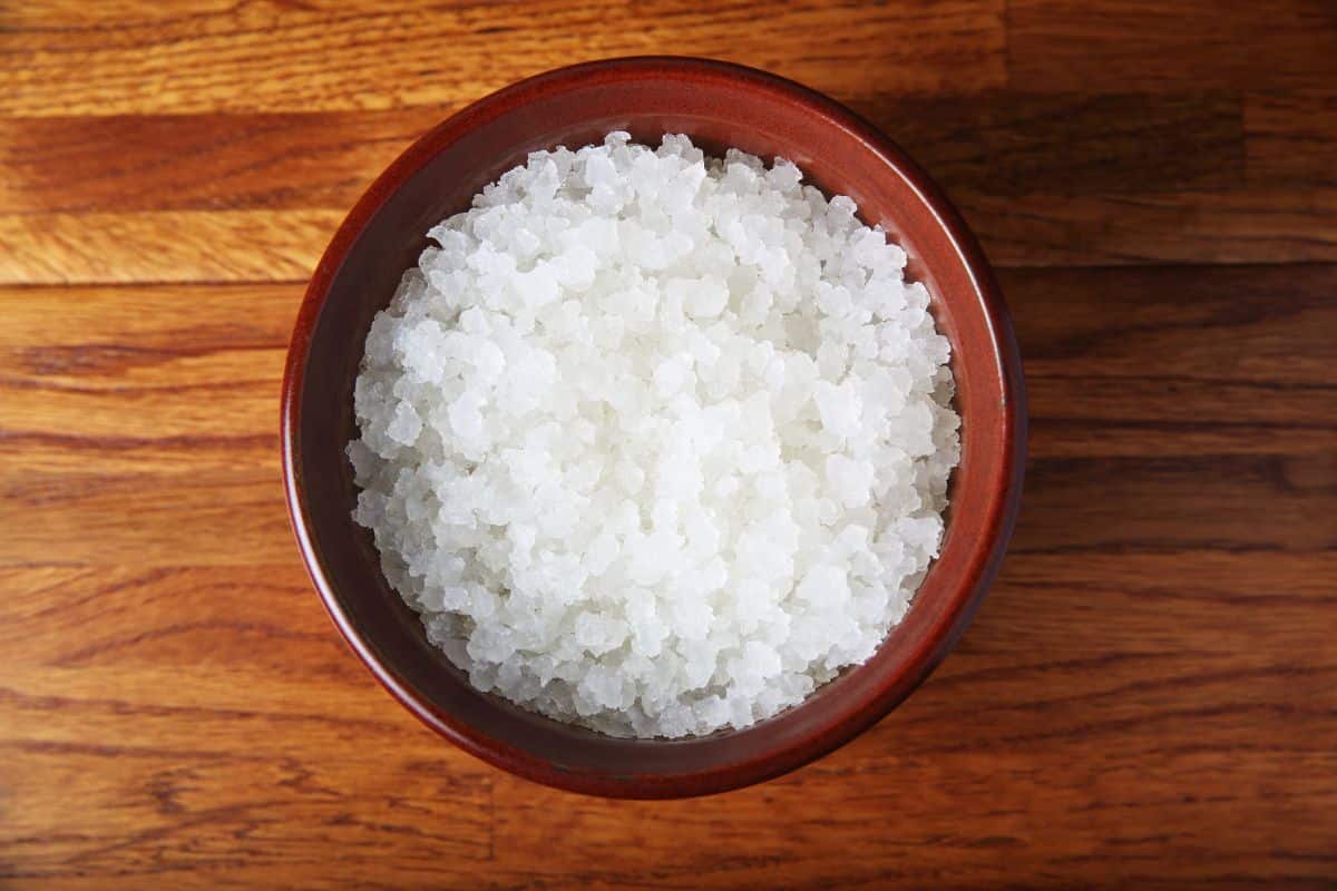 water-kefir-grains-in-a-bowl