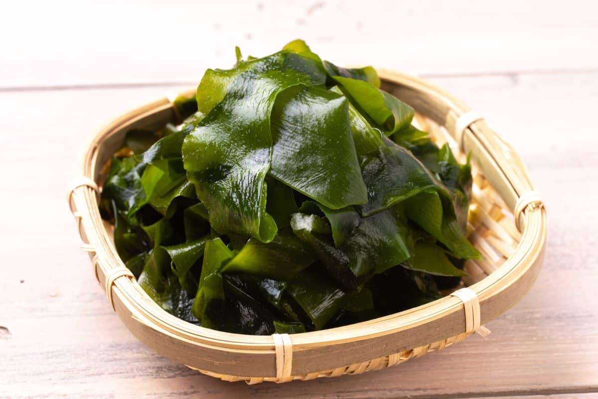 wakame-seaweed-for-miso-soup