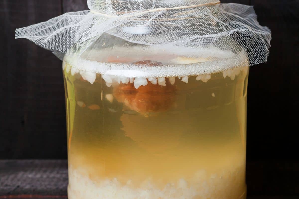 water-kefir-soda-brewing