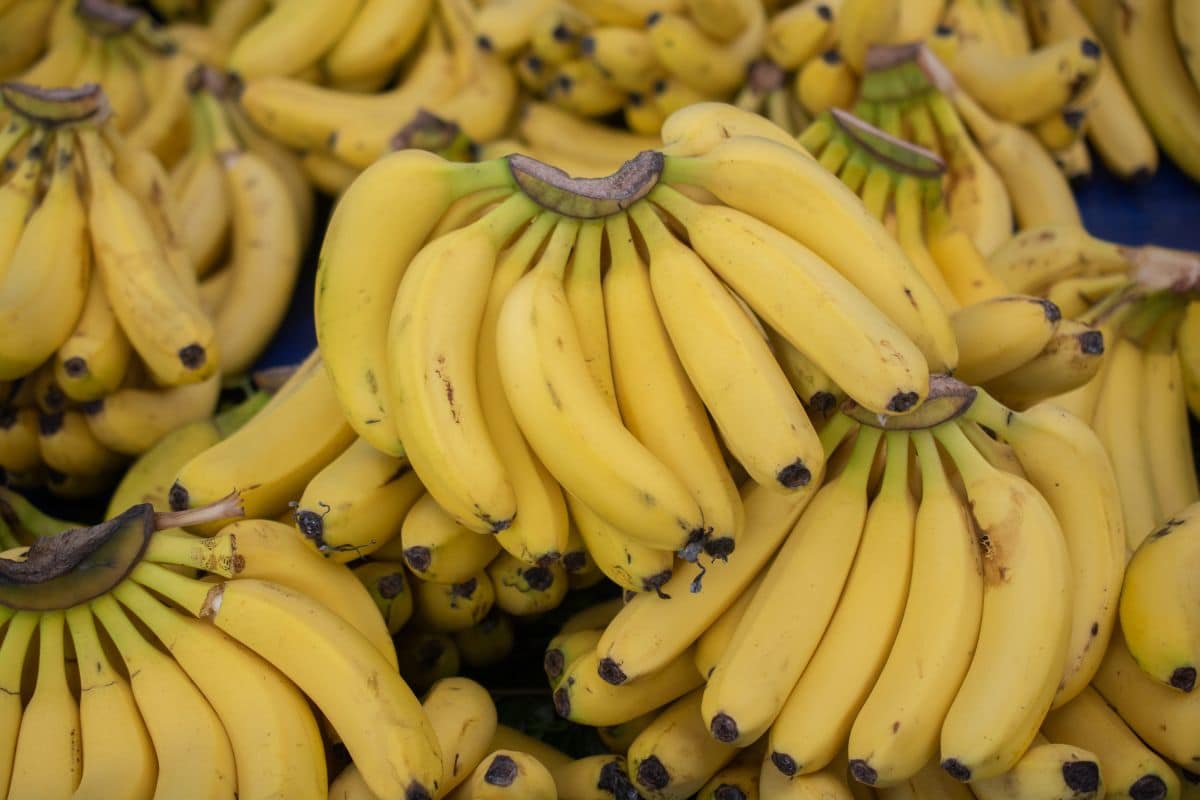 fresh-bananas