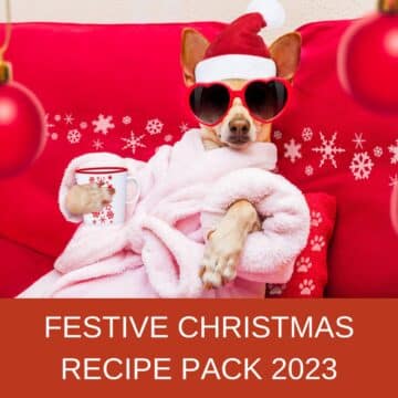 vegan-christmas-recipe-pack-festive-dog-relaxing-on-the-couch