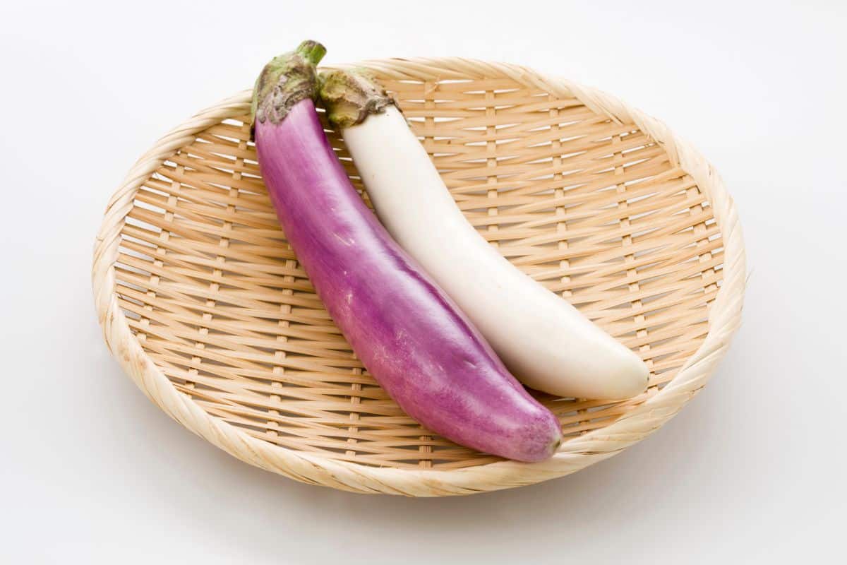 long-eggplants