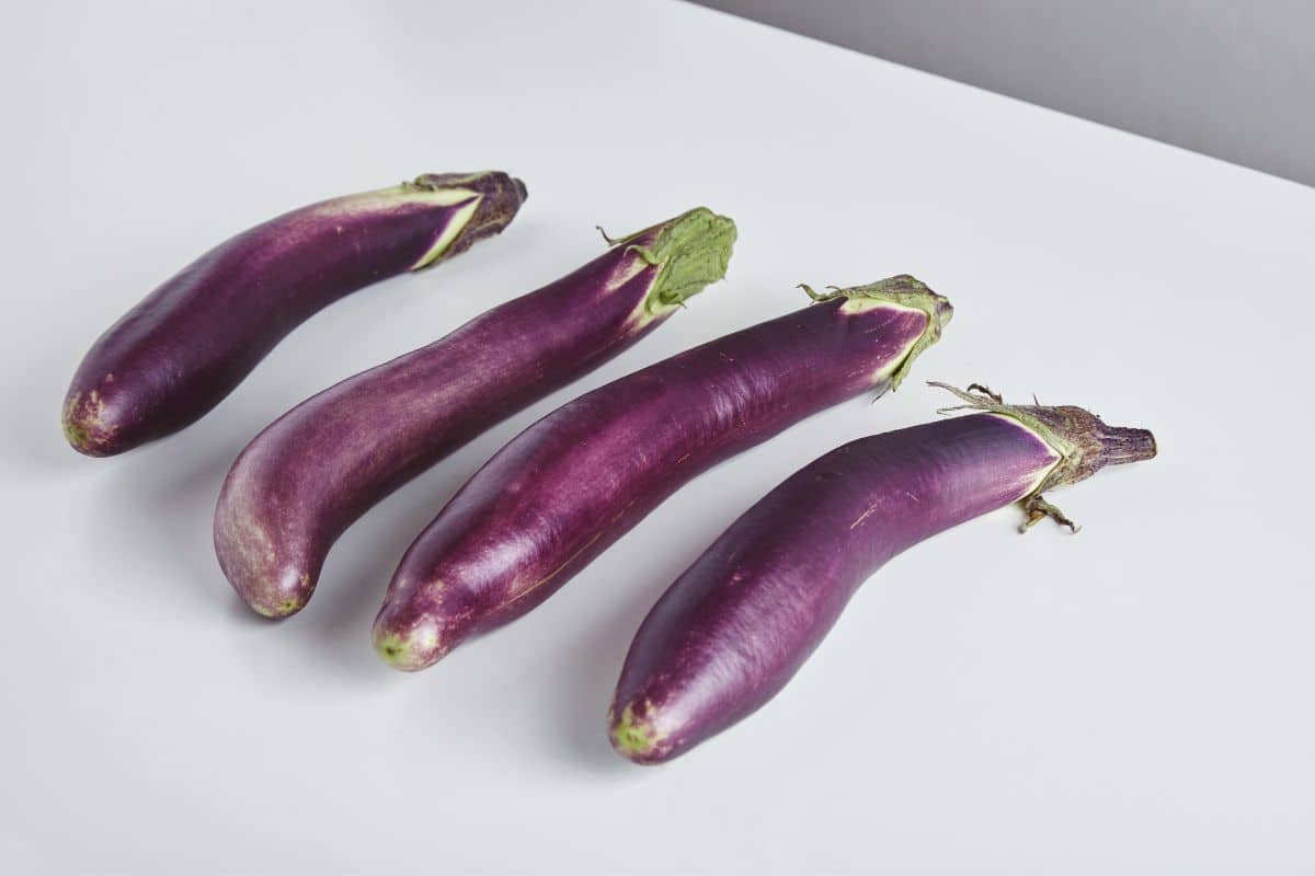 long-purple-eggplants