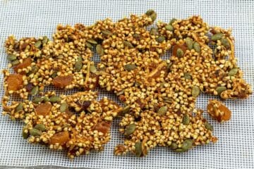 step-11-sprouted-buckwheat-rawnola-after-dehydration