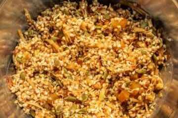 step-8-the-sprouted-buckwheat-mix-is-ready-to-dehydrate