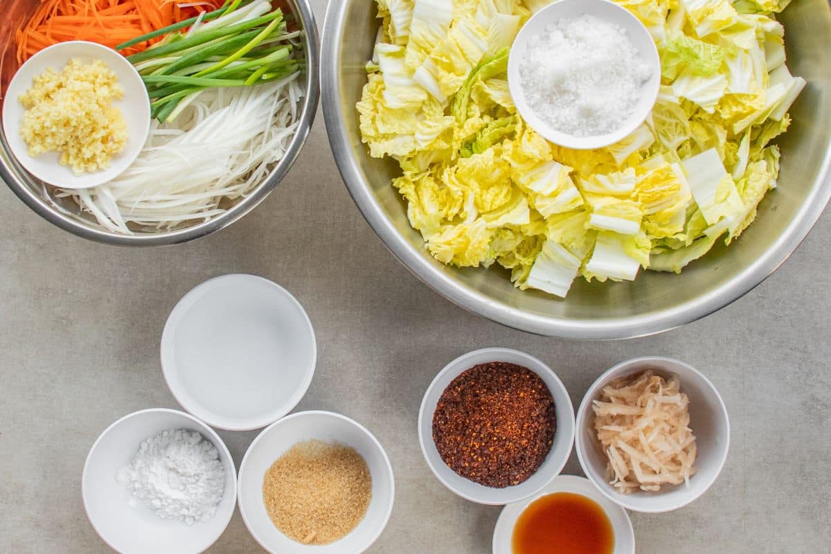 ingredients-for-making-kimchi