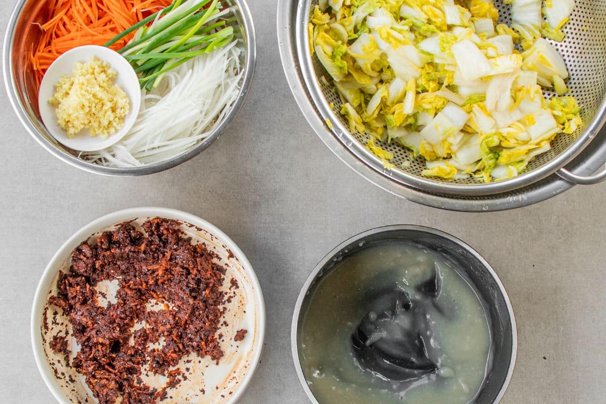 vegetables-for-making-vegan-kimchi
