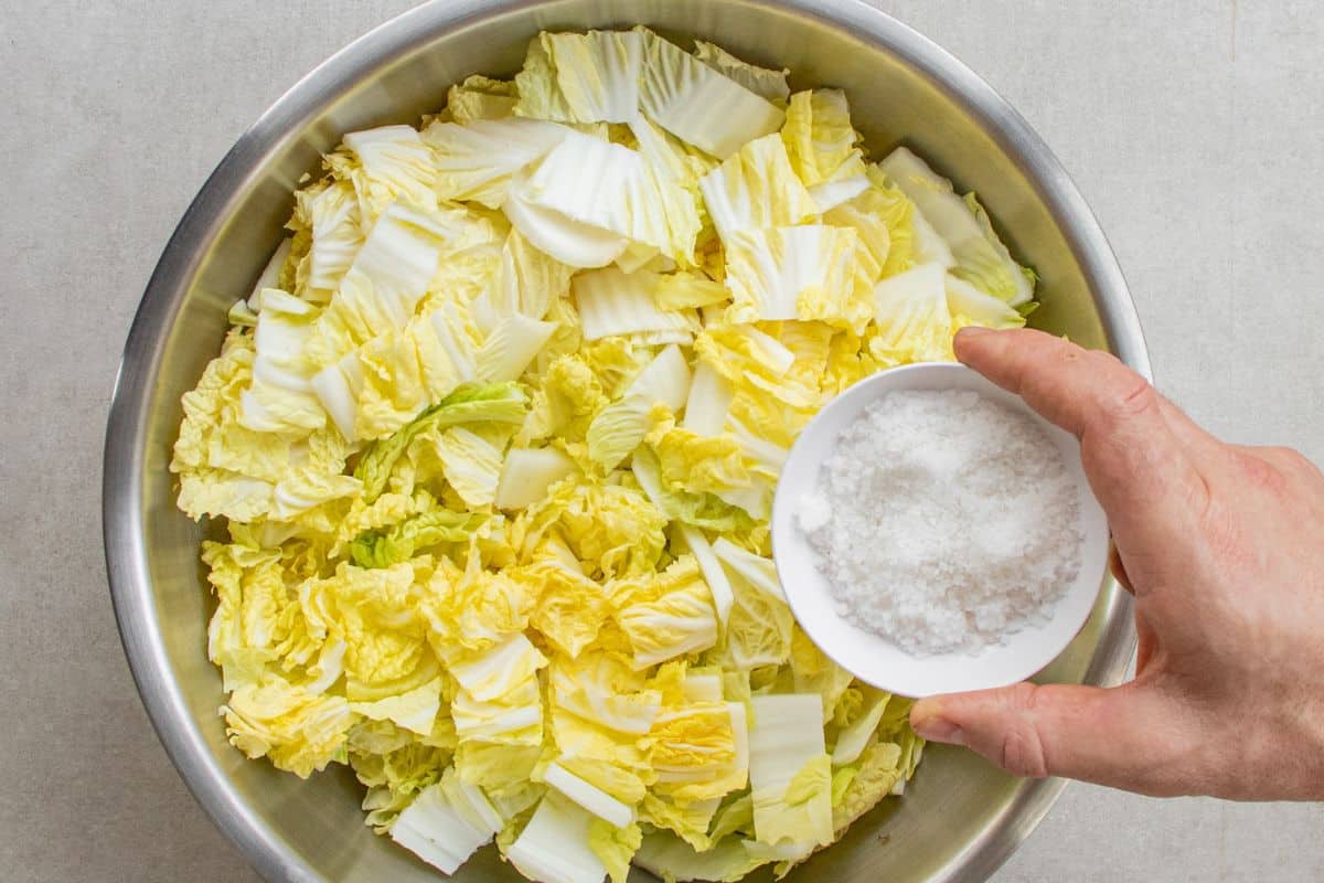 adding-salt-to-cabbage