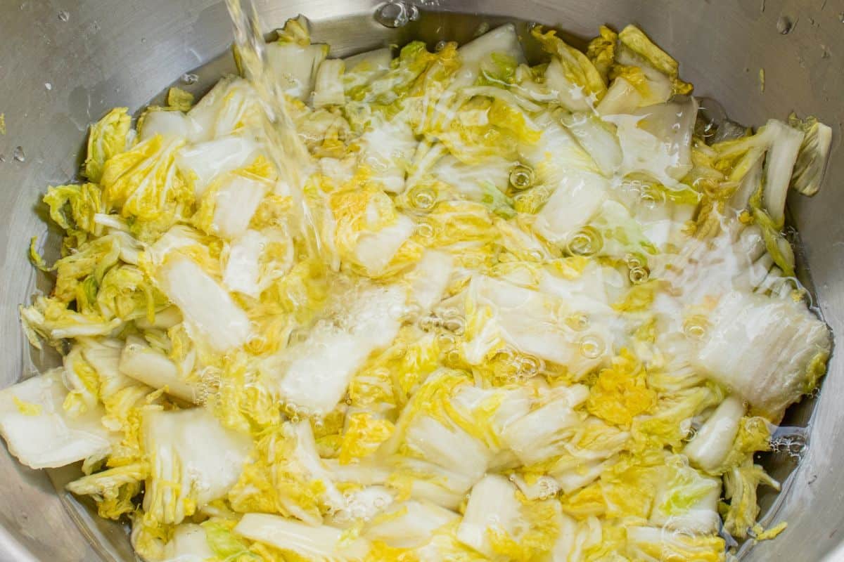 drain-cabbage-well
