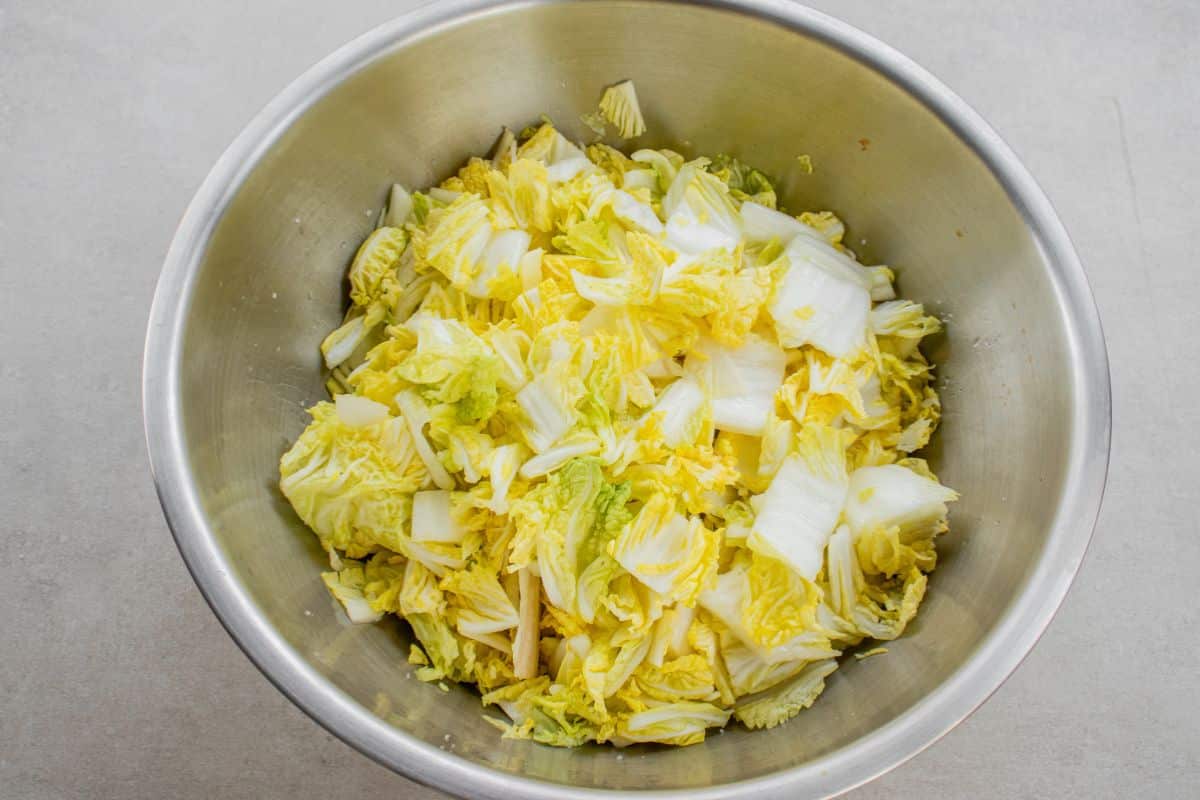 leave-cabbage-for-at-least-1-hour