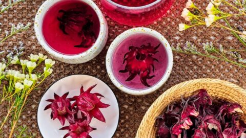 homemade-hibiscus-tea