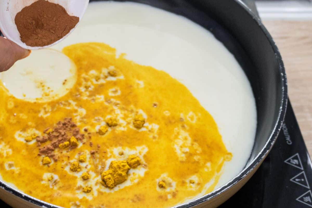 add-spices to-golden-turmeric-milk