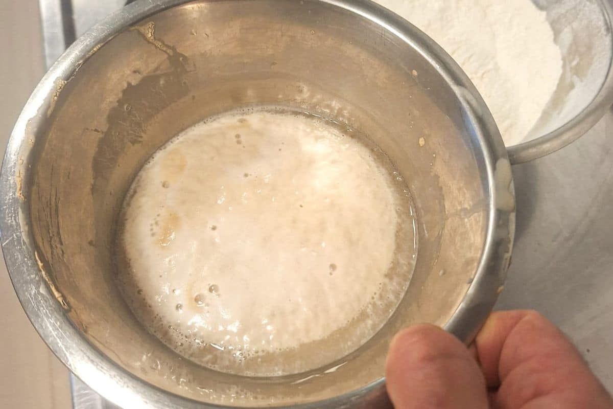 Bowl of warm water with sugar and yeast starting to foam for simit dough