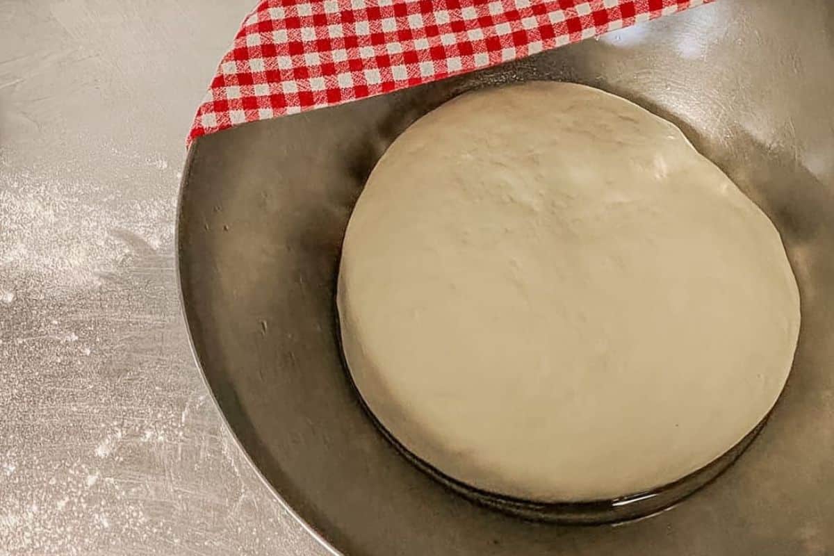 after it doubled in size it is ready to punch back and shape
