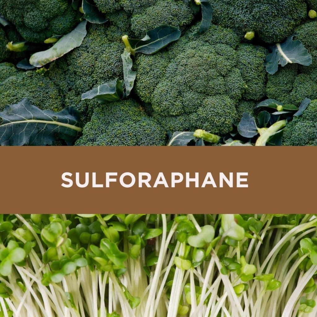 sulforaphane-broccoli-sprouts