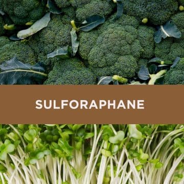 sulforaphane-broccoli-sprouts