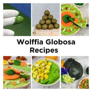 wolffia-globosa-recipes