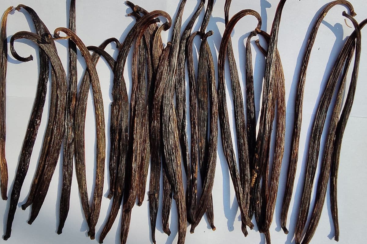 vanilla-pods