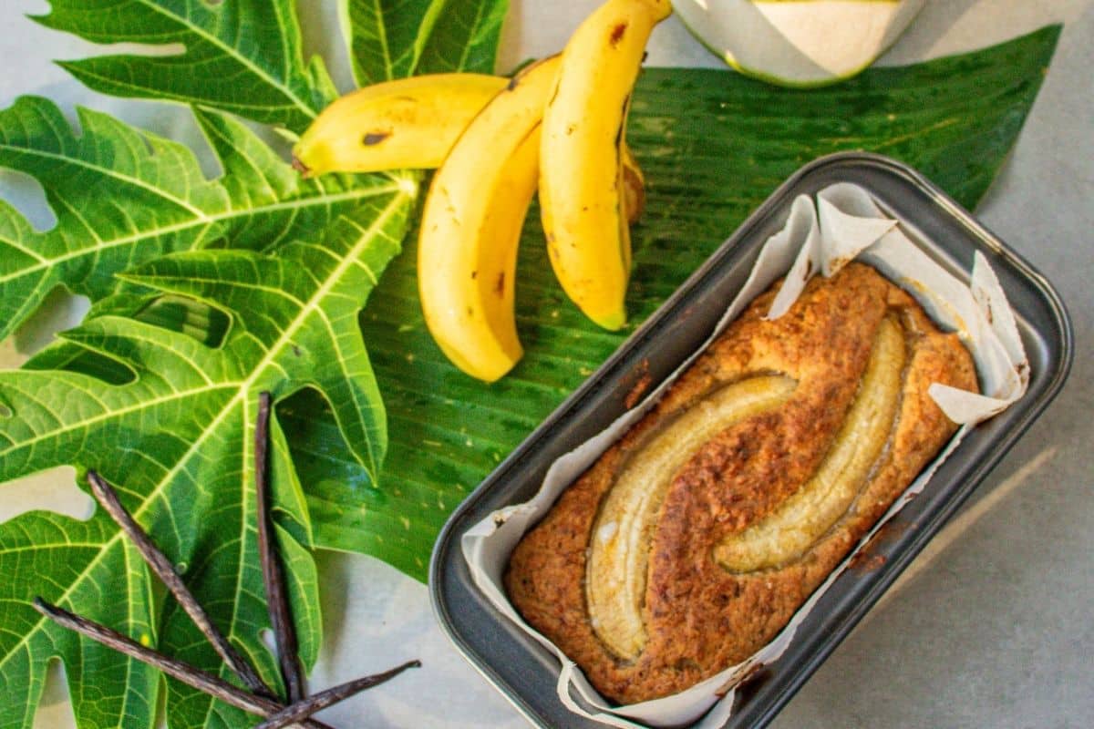 freshly-baked-tropical-bread