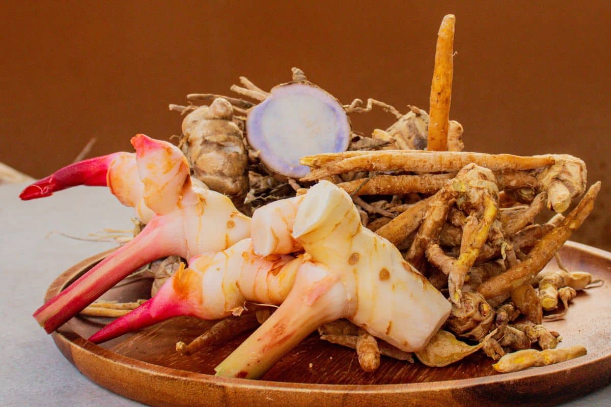 thai galangal and fingerroot and black ginger superfoods for making thai vegan recipes