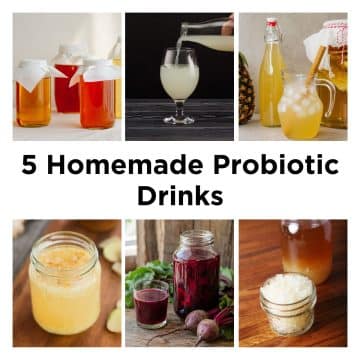 Five homemade probiotic drinks for gut health including kombucha, kefir, pineapple tepache, rejuvelac and beetroot kvass.
