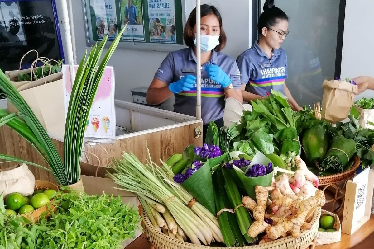 organic farmers market and healthy ice cream station every friday outside booster cafe for members and UWC community