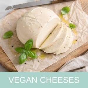 Vegan Cheeses