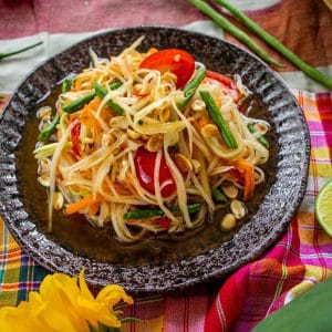 Papaya-Salad-4-1-feature image